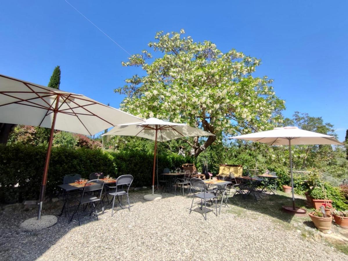 Agriturismo Biofattoria L'Upupa Montalcino Luaran gambar