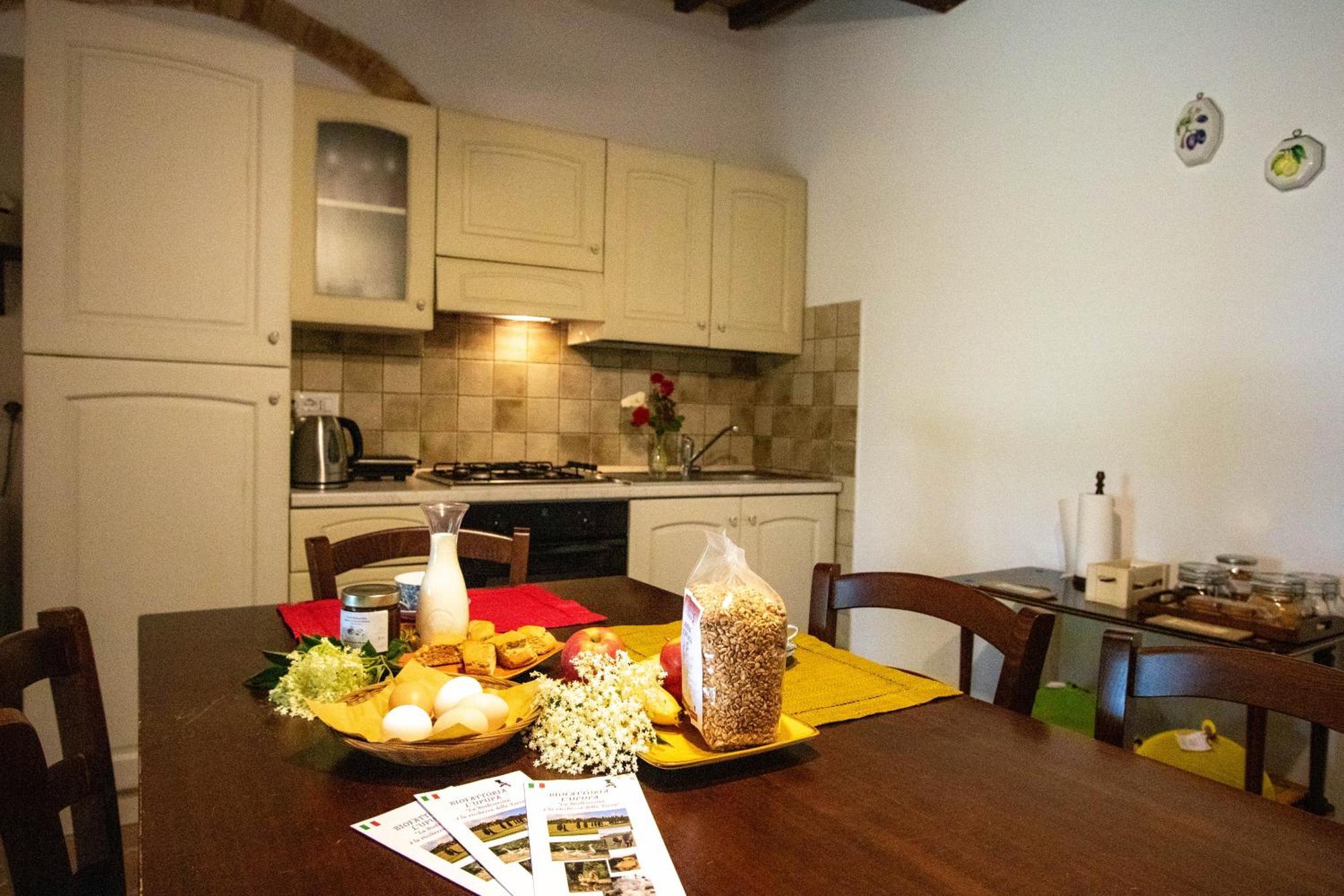Agriturismo Biofattoria L'Upupa Montalcino Luaran gambar
