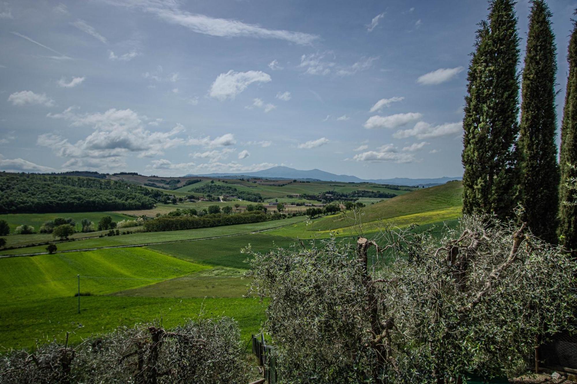 Agriturismo Biofattoria L'Upupa Montalcino Luaran gambar