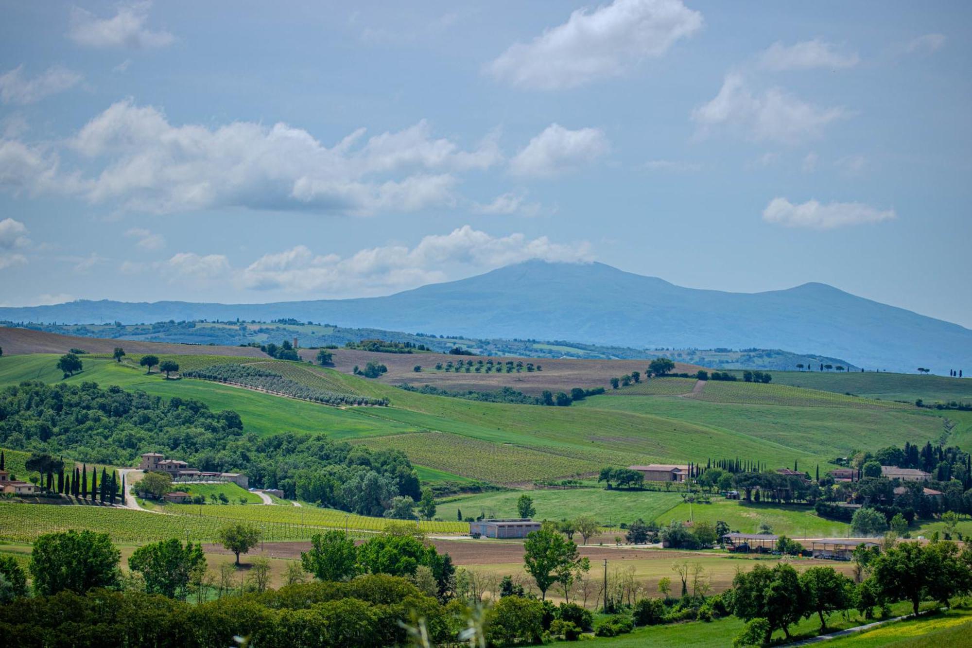 Agriturismo Biofattoria L'Upupa Montalcino Luaran gambar